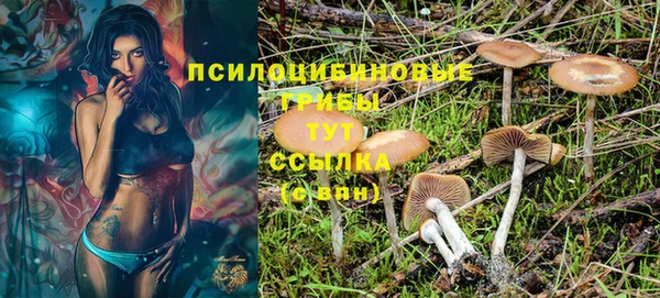 мескалин Аркадак